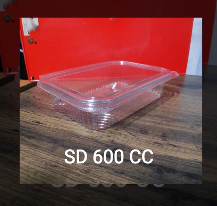 Hinked Container 600CC